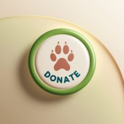 Helping Animals - One deed at a time